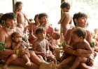 Relatos de 30 meninas Yanomami grávidas de garimpeiros, diz secretário